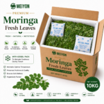 Moringa Fresh Leaves-Boost Immunity, Reduce Blood sugar Level, Improve Digestion,  Supports Weight Loss