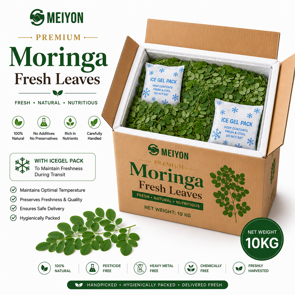 Moringa Fresh Leaves