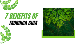 Moringa gum