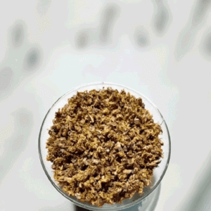moringa-flower-dried-2