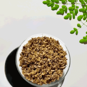 moringa-flower-dried-3