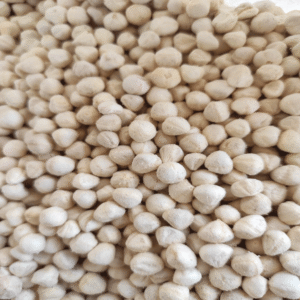 moringa-seed-kernel-2 moringa seed kernel