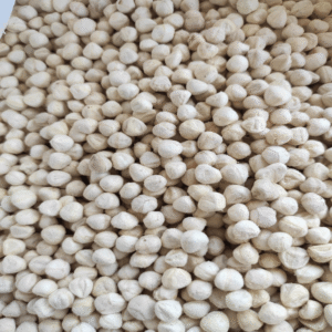 moringa-seed-kernel-3 moringa seed kernel