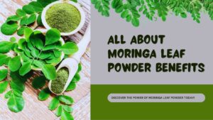 Moringa leaf powder - Meiyon Global