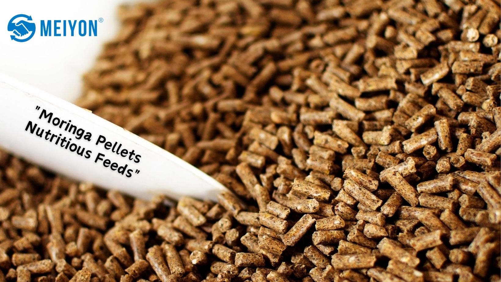 Moringa pellets | Animal Feeds | Meiyon global