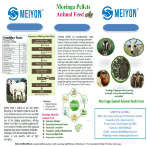 moringa animal feed