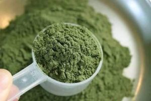 Moringa Powder 1 Moringa Powder
