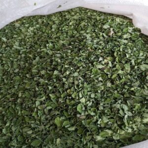 moringa-dried-leaves-3 moringa dried leaves